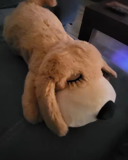 Acheteur vérifié