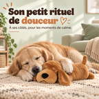 Peluche Cœur Battant pour chien