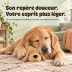 Son repère douceur, votre esprit plus léger : golden retriever et sa peluche