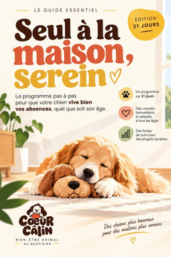 Le guide « Seul à la maison, serein »
