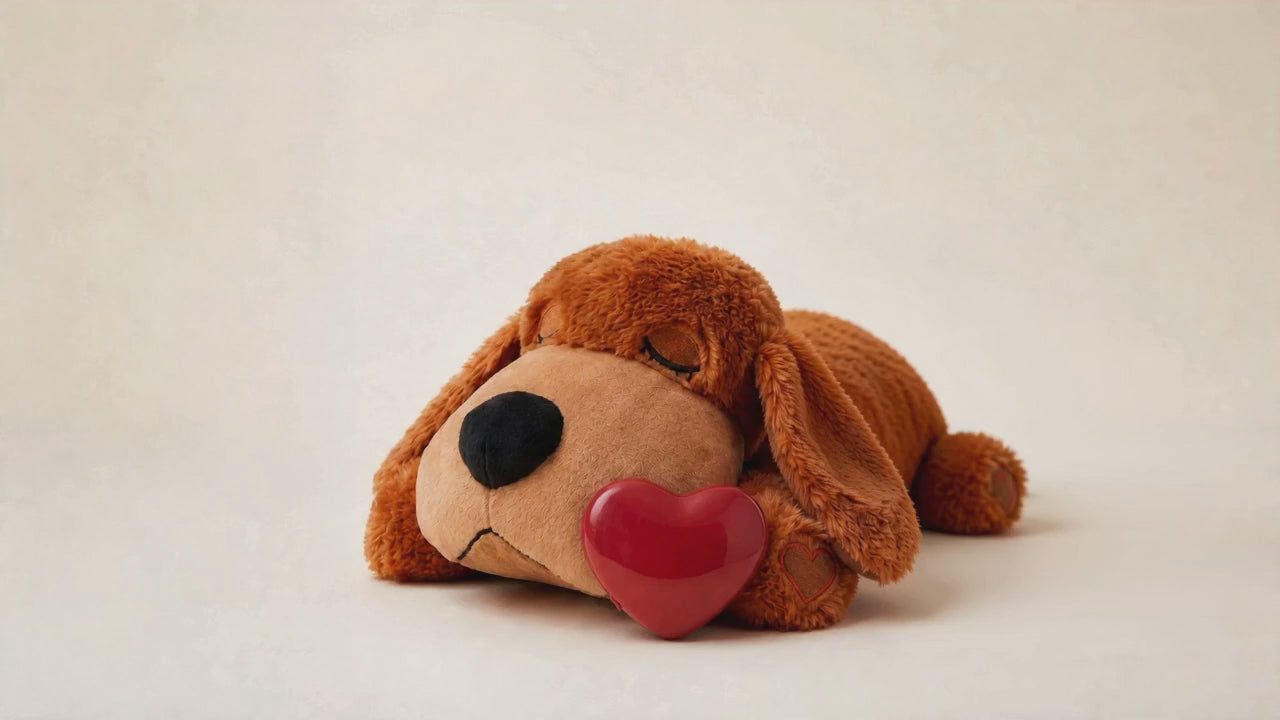 Cœur Câlin – chien apaisé contre sa peluche à cœur battant